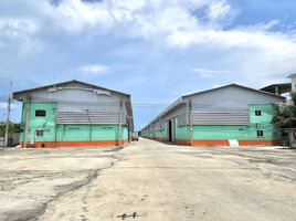 2 Bedroom Warehouse for sale in Thanyaburi, Pathum Thani, Bueng Nam Rak, Thanyaburi