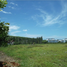  Land for sale in Pa Khlok, Thalang, Pa Khlok
