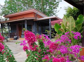 1 Schlafzimmer Haus zu vermieten in Nong Pla Mo, Nong Khae, Nong Pla Mo