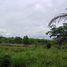  Land for sale in Thalang, Phuket, Thep Krasattri, Thalang