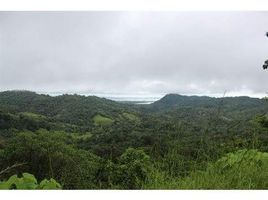  Grundstück zu verkaufen in Osa, Puntarenas, Osa