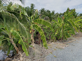 ขายที่ดิน ใน บางขุนเทียน กรุงเทพมหานคร, ท่าข้าม, บางขุนเทียน, กรุงเทพมหานคร