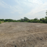  Land for sale in Mueang Nakhon Pathom, Nakhon Pathom, Phrong Maduea, Mueang Nakhon Pathom