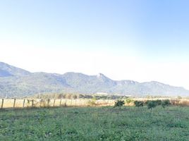  Grundstück zu verkaufen in Pai, Mae Hong Son, Mae Na Toeng