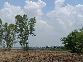  Grundstück zu verkaufen in Ban Mi, Lop Buri, Nong Mueang