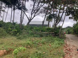  Land for sale in Ko Klang, Krabi, Ko Klang, Ko Lanta