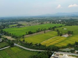  Grundstück zu verkaufen in Ban Thi, Lamphun, Ban Thi