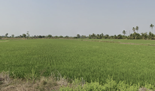 Земельный участок, N/A на продажу в Laem Bua, Nakhon Pathom 