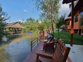 ขายที่ดิน ใน เมืองสมุทรสงคราม สมุทรสงคราม, นางตะเคียน, เมืองสมุทรสงคราม, สมุทรสงคราม