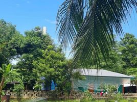  Land for sale in Rawai, Phuket Town, Rawai