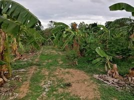  Grundstück zu verkaufen in Nong Ya Plong, Phetchaburi, Tha Takhro