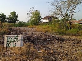  Grundstück zu verkaufen in Sena, Phra Nakhon Si Ayutthaya, Sam Ko
