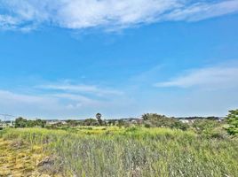  Land for sale in Bo Win, Si Racha, Bo Win