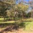  Land for sale in Guanacaste, Santa Cruz, Guanacaste