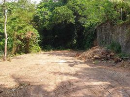  Land for sale in Nai Harn Beach, Rawai, Rawai