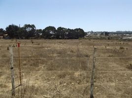  Land for sale in San Antonio, Valparaiso, El Tabo, San Antonio