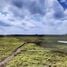  Land for sale in Amazonas, Silves, Silves, Amazonas