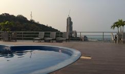 Фото 2 of the Communal Pool at Park Royal 2