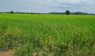 N/A Land for sale in Phrom Phiram, Phitsanulok 