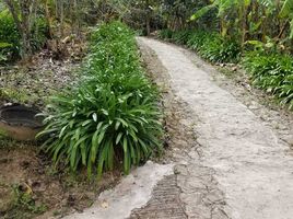  Grundstück zu verkaufen in Valle De Angeles, Francisco Morazan, Valle De Angeles, Francisco Morazan, Honduras