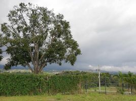  Land for sale in Naranjo, Alajuela, Naranjo