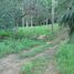  Land for sale in Maenam, Koh Samui, Maenam