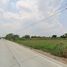  Land for sale in Bueng Bon, Nong Suea, Bueng Bon