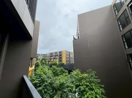 1 Bedroom Condo for rent at THE BASE Central Phuket, Wichit, Phuket Town, Phuket