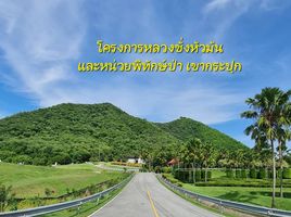  Grundstück zu verkaufen in Tha Yang, Phetchaburi, Khao Krapuk