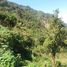  Land for sale in Tuba, Cordillera, Tuba, Benguet, Cordillera