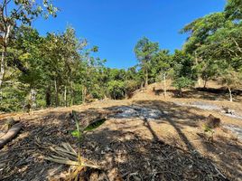  Land for sale in Kathu, Phuket, Kamala, Kathu