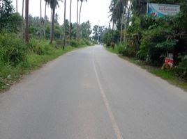  Grundstück zu verkaufen in Thalang, Phuket, Pa Khlok