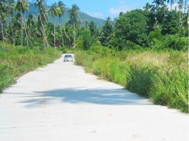  Grundstück zu verkaufen in Koh Samui, Surat Thani, Na Mueang, Koh Samui