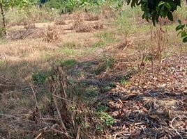  Grundstück zu verkaufen in Mueang Rayong, Rayong, Klaeng, Mueang Rayong, Rayong