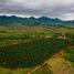  Grundstück zu verkaufen in Mueang Prachuap Khiri Khan, Prachuap Khiri Khan, Bo Nok