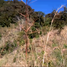  Land for sale in Esquipulas Del Norte Olancho, Esquipulas Del Norte, Olancho, Honduras