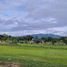  Land for sale in Samran Rat, Doi Saket, Samran Rat