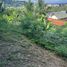  Land for sale in Karon, Phuket Town, Karon