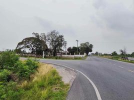  Land for sale in Tha Luang, Phimai, Tha Luang