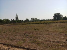  Grundstück zu verkaufen in Phimai, Nakhon Ratchasima, Nong Rawiang, Phimai, Nakhon Ratchasima