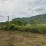  Land for sale in Nong Nam Daeng, Pak Chong, Nong Nam Daeng