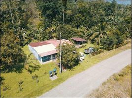 4 Schlafzimmer Villa zu verkaufen in Pococi, Limon, Pococi, Limon, Costa Rica