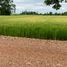  Land for sale in Trai Trueng, Mueang Kamphaeng Phet, Trai Trueng