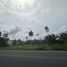  Land for sale in Phuket, Mai Khao, Thalang, Phuket