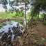  Land for sale in Sai Noi Nonthaburi, Thawi Watthana, Sai Noi, Nonthaburi