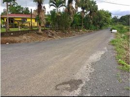  Grundstück zu verkaufen in Sarapiqui, Heredia, Sarapiqui