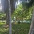 6 Bedroom Villa for sale in Chalong, Phuket, Chalong, Phuket Town