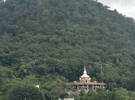 2 Schlafzimmer Wohnung zu verkaufen im Supalai Park at Downtown Phuket, Talat Yai