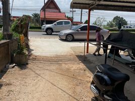  Land for sale in Fang, Chiang Mai, San Sai, Fang