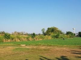  Land for sale in Thung Pi, Mae Wang, Thung Pi